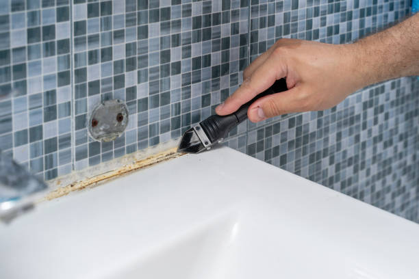 Best Mold Remediation for Schools in Richton, MS
